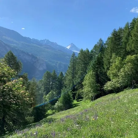 Renovierte Mit Ausblick Fuer 1-2 Personen * Evolène